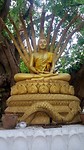 20190401_142323