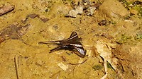 20190402_124518