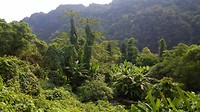 20190406_093927