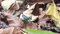20190406_184745