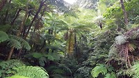 20190407_122648