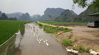 20190409_123821