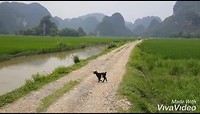 XiaoYing_Video_1554808451466_1080HD