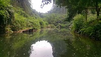 20190410_113021