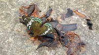 20190412_093545
