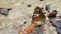 20190412_093458