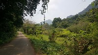 20190411_120636
