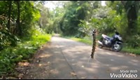 XiaoYing_Video_1555077111788_1080HD
