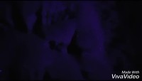 XiaoYing_Video_1555138760290_1080HD
