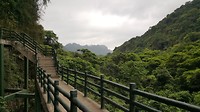 20190418_113218