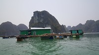 20190419_120546