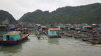 20190421_083132