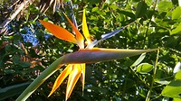 20190425_142521