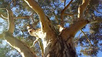20190425_142931