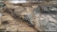 XiaoYing_Video_1556356061120_1080HD