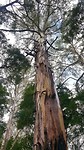 20190428_125314