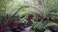 20190428_130006