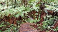20190428_142922