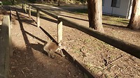 20190429_085212