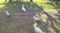 20190429_085618
