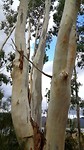 20190501_143306