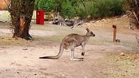 20190501_170329