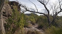 20190502_132130