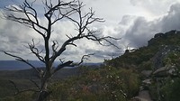 20190502_191341
