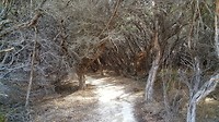 20190507_121354