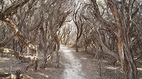 20190507_121418