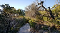 20190507_161335