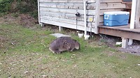 20190507_165659