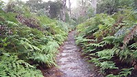 20190509_141054