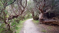 20190509_150916