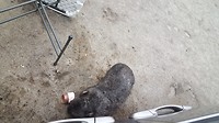 20190509_085458