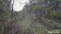 XiaoYing_Video_1557399835017_1080HD