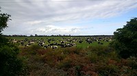 20190510_124316