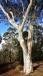 20190511_142259