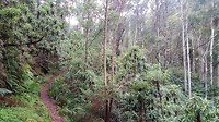 20190512_092819