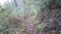 20190512_124702