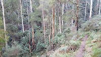 20190512_135620