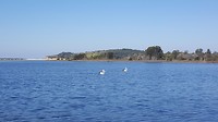 20190515_114610