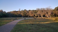20190515_161055