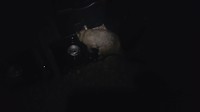 20190515_185701