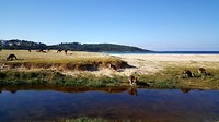 20190516_140411