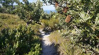 20190516_123338