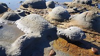 20190517_112701