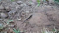 20190517_145911
