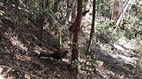 20190522_185115