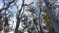 20190525_141929